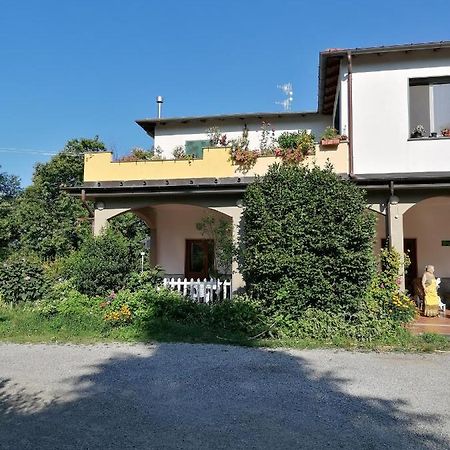 Le Camelie Villa Polverara Eksteriør billede