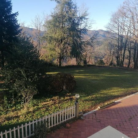 Le Camelie Villa Polverara Eksteriør billede