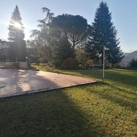 Le Camelie Villa Polverara Eksteriør billede