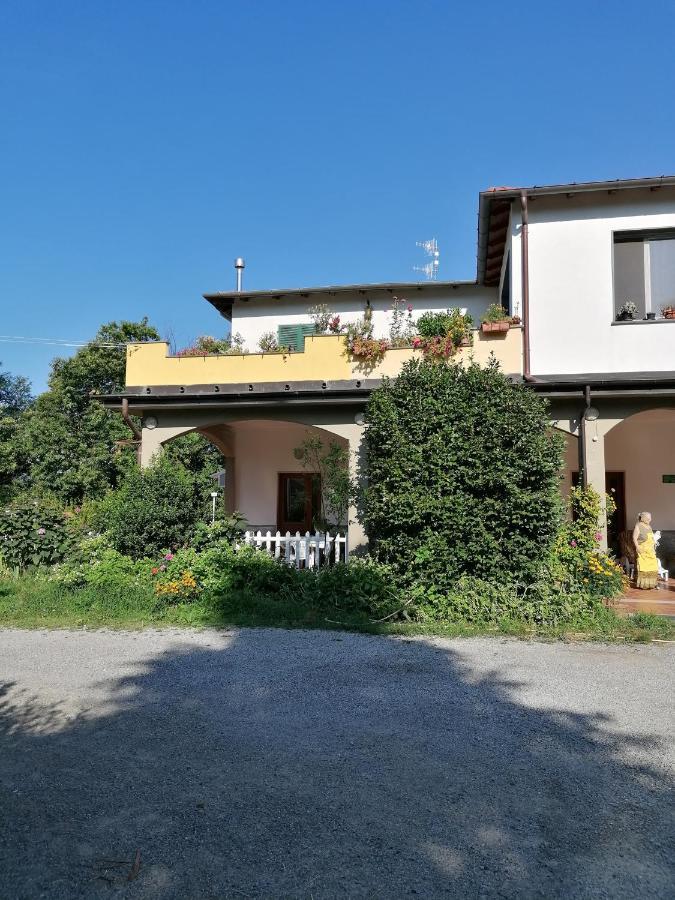 Le Camelie Villa Polverara Eksteriør billede