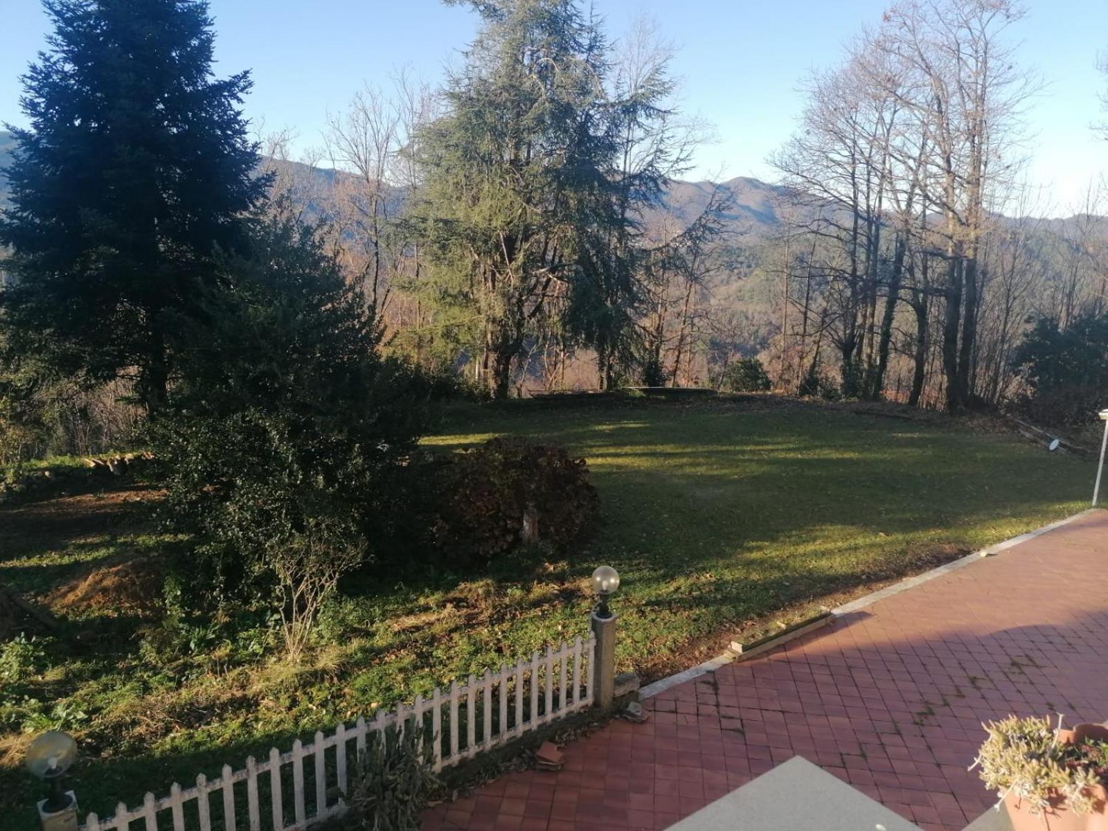 Le Camelie Villa Polverara Eksteriør billede