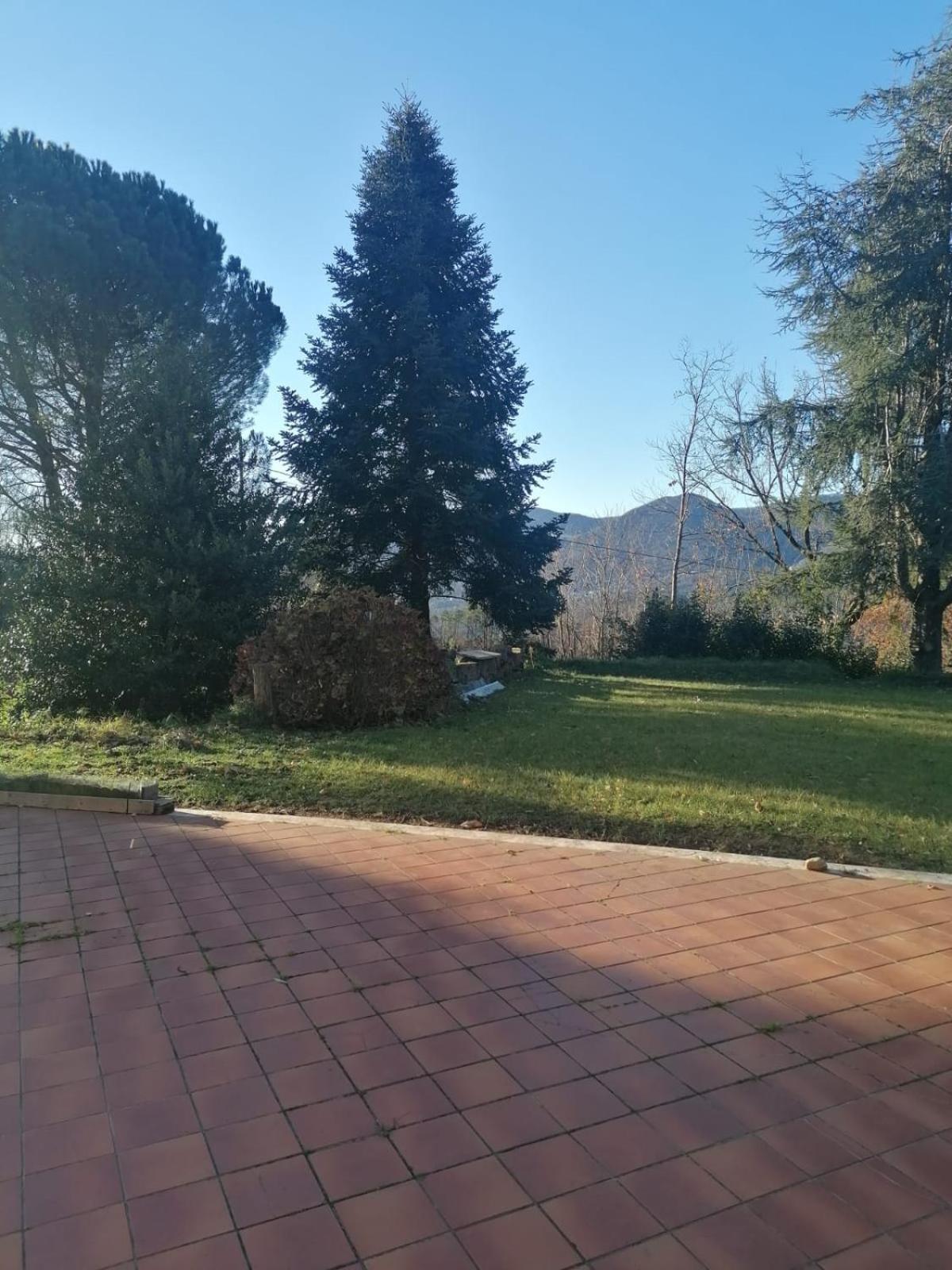Le Camelie Villa Polverara Eksteriør billede